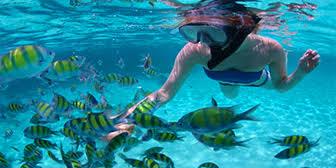 Snorkeling tour to Giftun Island from Makadi bay'